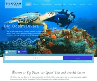 Bigoceandivers.com(Big Ocean) Screenshot