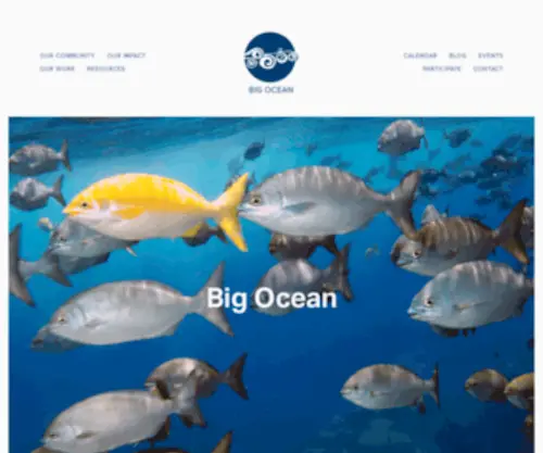 Bigoceanmanagers.org(Big Ocean) Screenshot