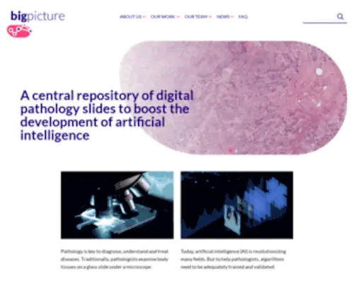 Bigpicture.eu(European Digital Pathology Platform) Screenshot