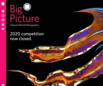Bigpicturecompetition.org(BigPicture Natural World Photography Competition) Screenshot