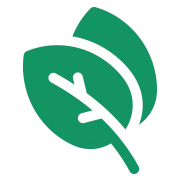 Bigpro.lv Favicon