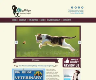 Bigridgevet.com(Ocean Springs) Screenshot