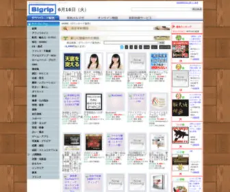 Bigrip.net(情報販売) Screenshot