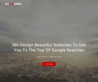 Bigwebmedia.co.za(Website Designers & SEO Specialists) Screenshot