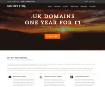 Bigwetfish.hosting(Uk/ire web hosting & domains) Screenshot