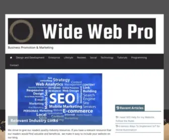 Bigwidewebpro.com(Big Wide Web Pro) Screenshot