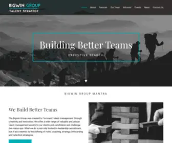 Bigwingroup.com(What we do) Screenshot