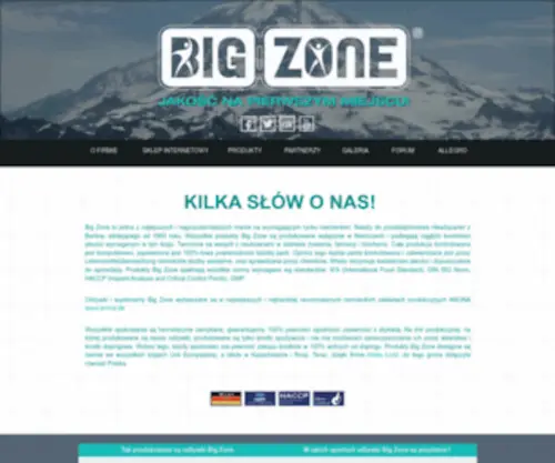 Bigzone.pl(O firmie) Screenshot