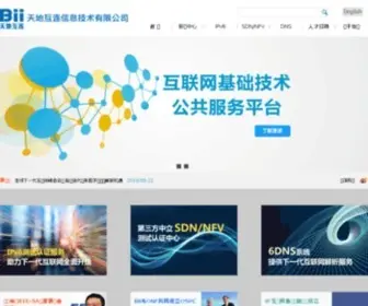 Biigroup.com(天地互连（BII Group）) Screenshot