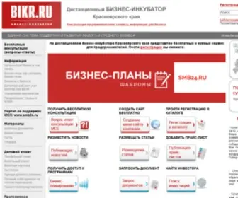 Bikr.ru(Дистанционный бизнес) Screenshot