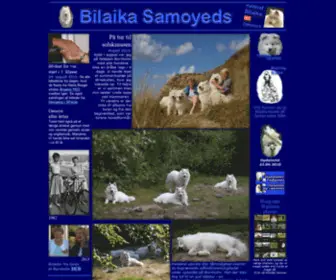 Bilaika.dk(Kennel Bilaikas samojedhunde i ord og billeder) Screenshot