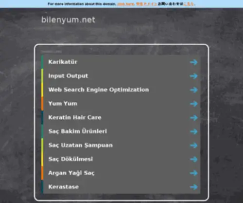 Bilenyum.net(Bilenyum) Screenshot