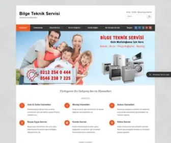 Bilgeservisi.com(Bilge) Screenshot