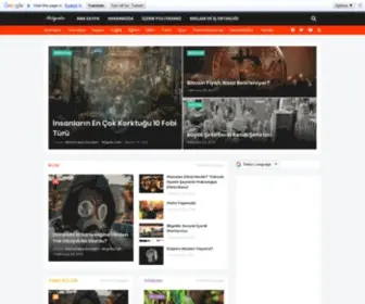 Bilgidio.com(Sosyal İçerik Platformu) Screenshot