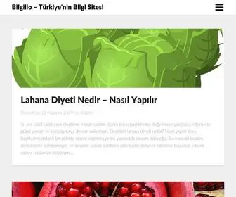 Bilgilio.com(Türkiye'nin Bilgi Sitesi) Screenshot