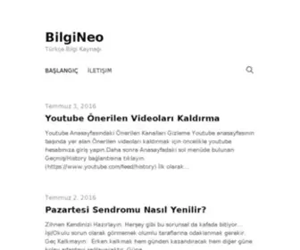 Bilgineo.com(Bilgineo) Screenshot