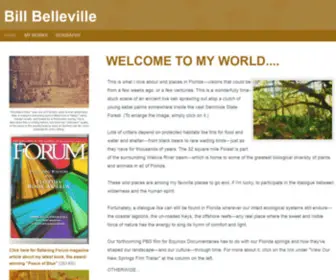 Billbelleville.com(Bill Belleville) Screenshot