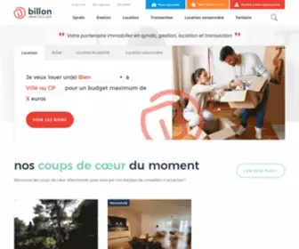 Billon-Immobilier.com(Biens immobiliers à louer ou vendre) Screenshot