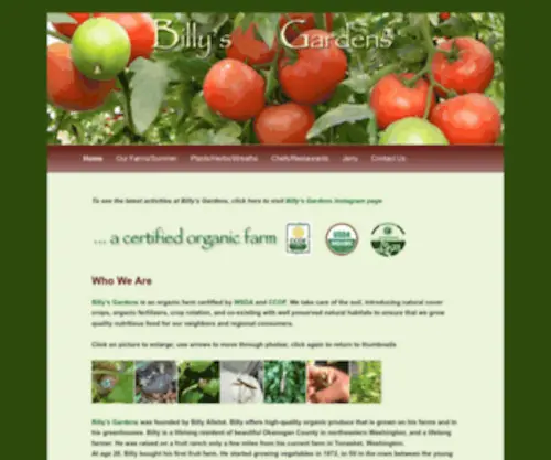 Billysgardens.com(Billy's Gardens) Screenshot