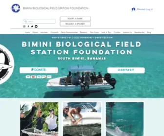 Biminisharklab.com(The Bimini Shark Lab) Screenshot
