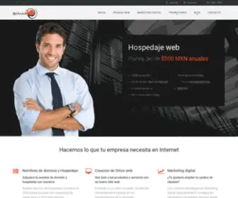 Binarioweb.com(Binarioweb) Screenshot
