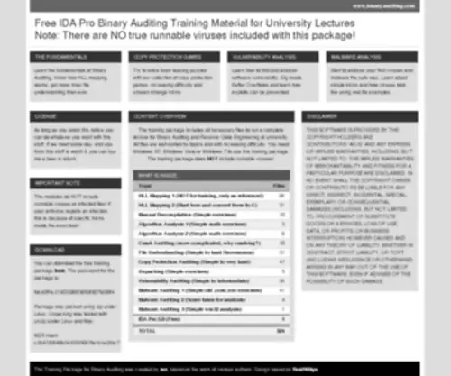 Binary-Auditing.com(Binary Auditing) Screenshot