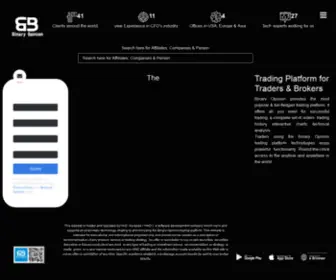 Binary-Opinion.com(Binary Opinion) Screenshot
