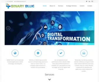 Binaryblue.com(Binary Blue) Screenshot