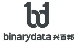 Binarydata.cn Favicon