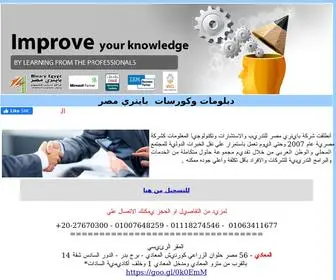 Binaryegypt.com(شركة) Screenshot