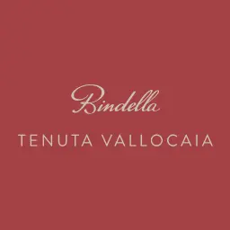 Bindella.it Favicon