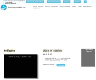 Bindudiagnostics.com(Bindu Diagnostics) Screenshot