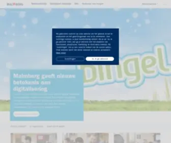 Bingel-Malmberg.nl(Bingel digitaal basisonderwijs) Screenshot