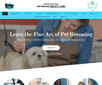 Bingogroomingschool.com(Learn the Fine Art of Pet Grooming) Screenshot