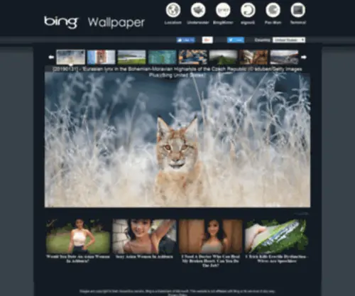 Bingwallpaper.com(Bing™) Screenshot
