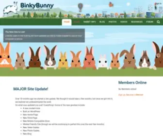 Binkybunny.com(Home) Screenshot