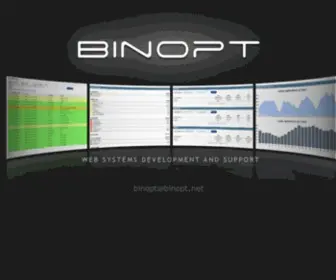 Binopt.net(Web Development Company) Screenshot