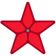 Bintangsupermarket.com Favicon