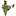 Bioatlasindia.org Favicon