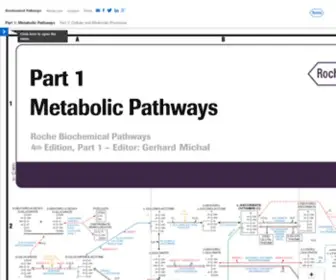 Biochemical-Pathways.com(Roche BCP) Screenshot