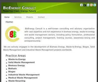 Bioenergyconsult.com(BioEnergy Consult) Screenshot