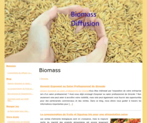 Biomass-Diffusion.fr(Bûches compressées) Screenshot