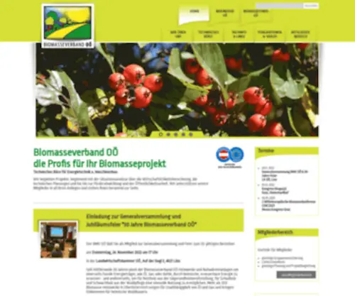 Biomasseverband-OOE.at(Biomasseverband OÖ) Screenshot