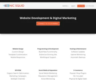 Bionicsquid.com(Custom Website Development & Digital Marketing) Screenshot