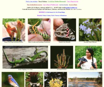 Biophilia.net(Biophilia) Screenshot