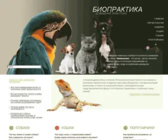 Biopractice.ru(содержание) Screenshot