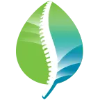 Biospinefoundation.org Favicon