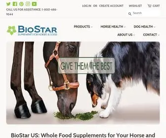 Biostarus.com(BioStar US) Screenshot