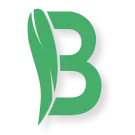 Biote-Mattress.com Favicon