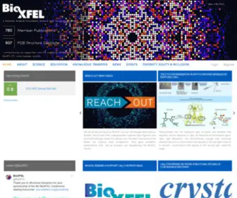 Bioxfel.com(BioXFEL) Screenshot